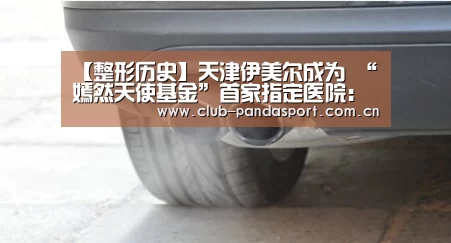 熊猫体育安装