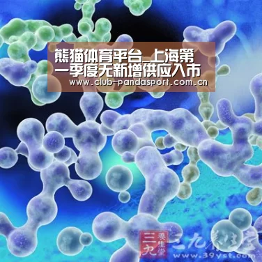 熊猫体育客户端